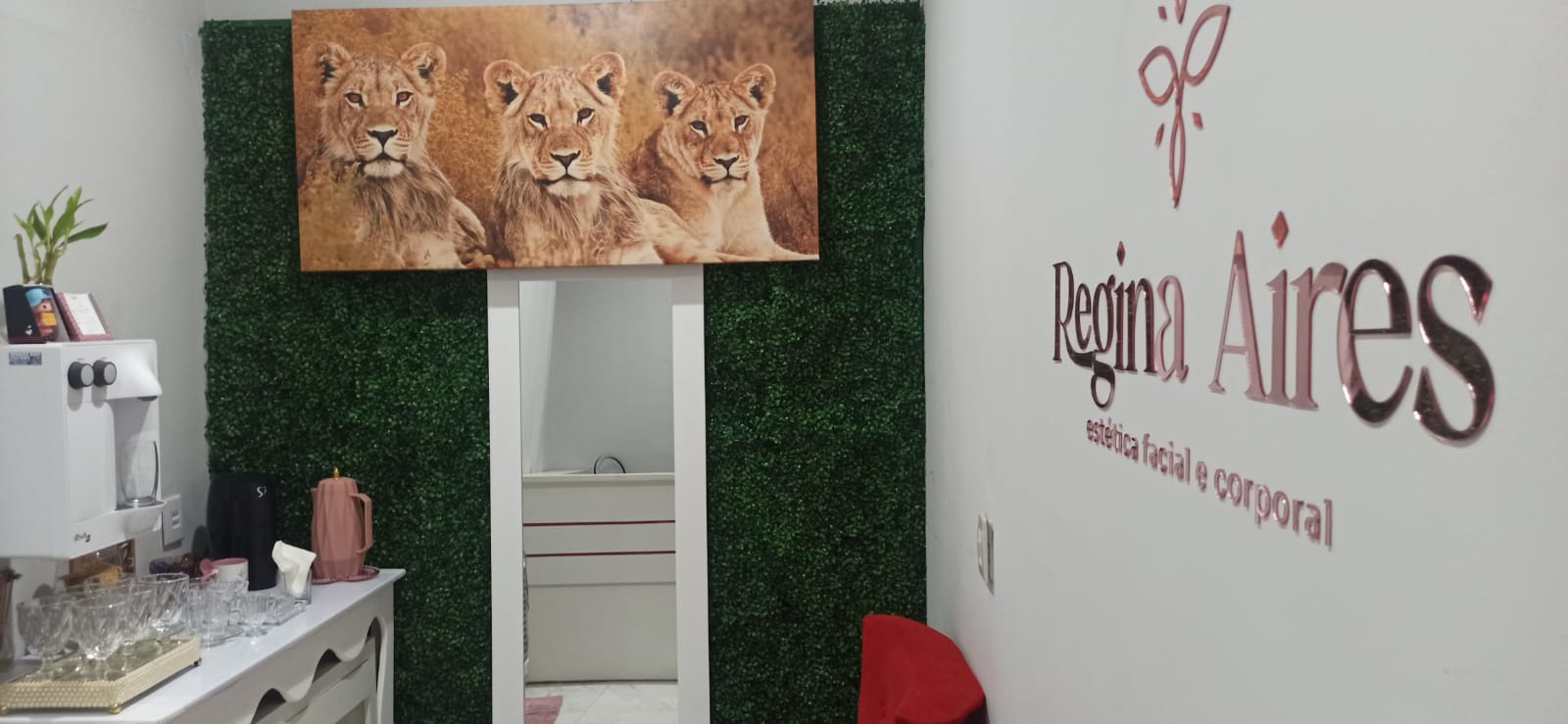 Sobre Regina Aires Estética